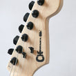 Load image into Gallery viewer, Charvel PRO-MOD SAN DIMAS® STYLE 1 HSS HT E SASSAFRAS