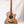 Load image into Gallery viewer, Cole Clark CCAN2EC-BB Acsoutic Guitar
