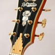 Load image into Gallery viewer, D'Angelico Excel 59 Hollowbody