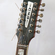 Load image into Gallery viewer, Eko Ranger 12 String - year 1971
