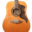 Load image into Gallery viewer, Eko Ranger 12 String - year 1971
