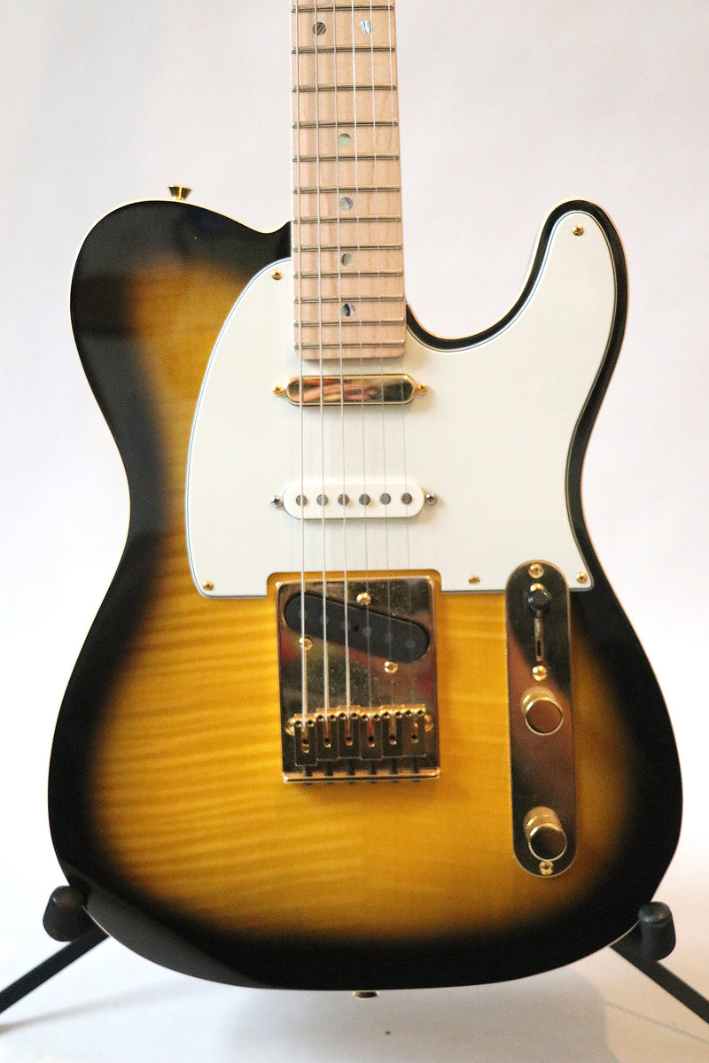 Fender Richie Kotzen Telecaster – The Guitar Colonel
