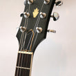 Load image into Gallery viewer, Gibson ES-335 1981