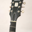 Load image into Gallery viewer, Gretsch G6118T-135 LTD 135th Anniversary with Bigsby