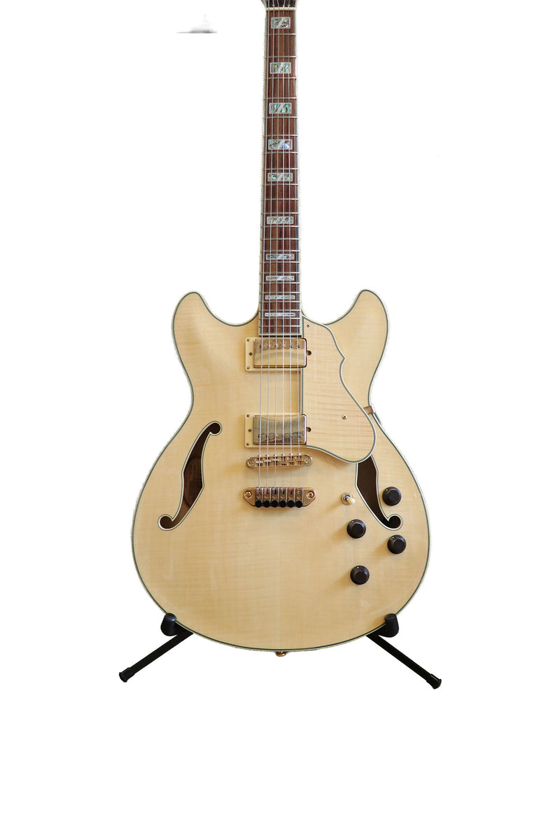 Ibanez AS-103 - year 2008 – The Guitar Colonel