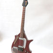 Load image into Gallery viewer, Jerry Jones Electric Master Sitar