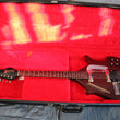 Load image into Gallery viewer, Jerry Jones Electric Master Sitar