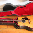 Load image into Gallery viewer, Takamine F-400 12-string Lawsuit 1979