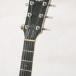 Load image into Gallery viewer, Taylor T3 with Bigsby - year 2009