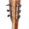 Load image into Gallery viewer, Wallace Brown 'Moth Hawk' Acoustic Guitar