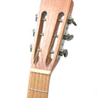 Load image into Gallery viewer, Wallace Brown 'Moth Hawk' Acoustic Guitar
