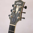 Load image into Gallery viewer, Collings I-35 DC Deluxe