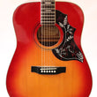 Load image into Gallery viewer, Canora Hummmingbird Acoustic