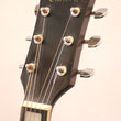 Load image into Gallery viewer, Canora Hummmingbird Acoustic