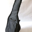 Load image into Gallery viewer, Epiphone Genesis II DC Pro