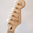 Load image into Gallery viewer, Fender Richie Kotzen Stratocaster