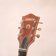 Load image into Gallery viewer, Grestch 6120 1959 Owned by Brian Setzer