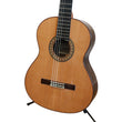 Load image into Gallery viewer, Almansa 459 Spainish Classical Guitar
