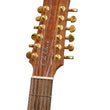 Load image into Gallery viewer, Cole Clark 12 String Fat Lady - year 2023

