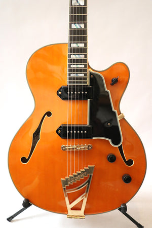 D'Angelico Excel 59 Hollowbody