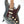 Load image into Gallery viewer, FENDER FSR PLAYER PLUS STRATOCASTER HSS - Andertons
