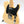 Load image into Gallery viewer, Fender Masterbuilt 1951 Nocaster NOS guitar 2023 Dave Brown
