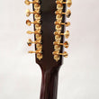 Load image into Gallery viewer, GUILD USA F-512E Sunburst JUMBO 12-STRING W/PICKUP &amp; HARD CASE - Year 2023
