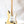 Load image into Gallery viewer, Yngwie Malmsteen Fender Stratocaster Mod
