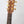 Load image into Gallery viewer, Maton Custom Jumbo
