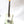 Load image into Gallery viewer, Nash T63 Telecaster - year 2009
