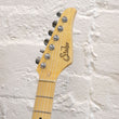 Load image into Gallery viewer, Suhr Classic Antique HSS
