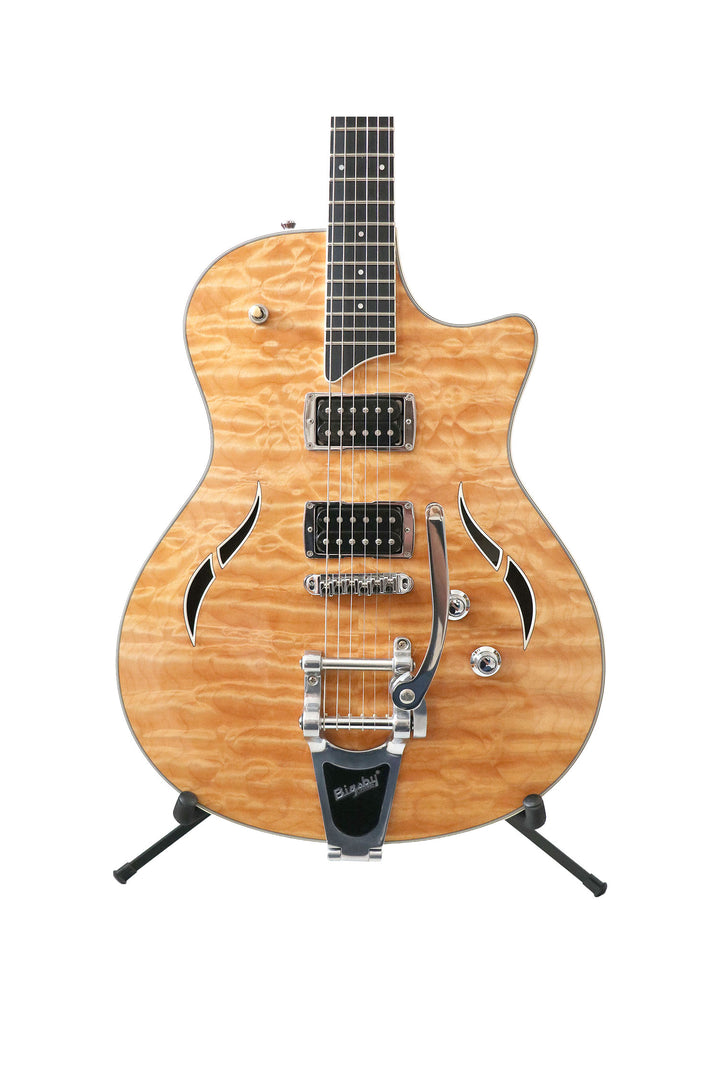 Taylor T3 with Bigsby year 2009