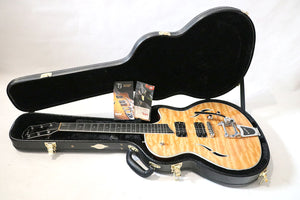 Taylor T3 with Bigsby - year 2009