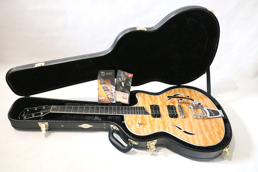 Taylor T3 with Bigsby - year 2009