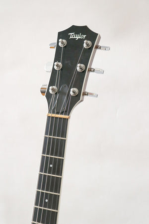Taylor T3 with Bigsby - year 2009