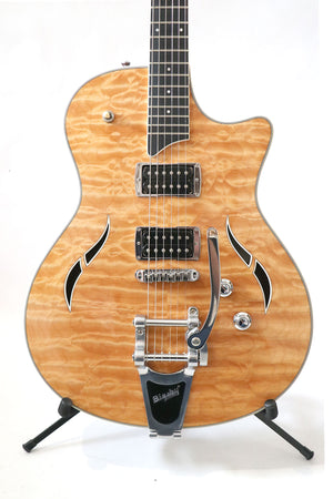 Taylor T3 with Bigsby - year 2009