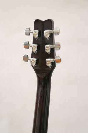 Washburn Raven Made in Japan - year 1980-1983