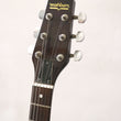 Load image into Gallery viewer, Washburn Raven Made in Japan - year 1980-1983
