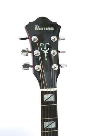 Ibanez Acoustic 1980
