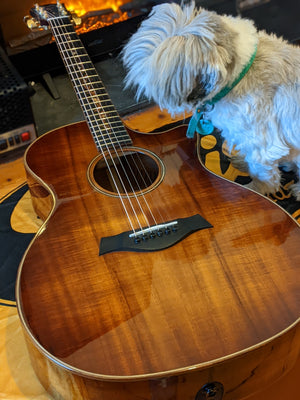 Taylor K24ce Hawaiian Koa Acoustic