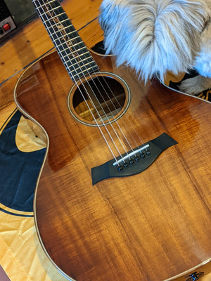 Taylor K24ce Hawaiian Koa Acoustic