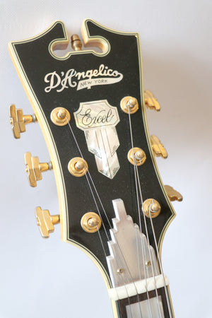 D'Angelico Excel SS - 2014