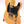 Load image into Gallery viewer, Fender Squier Classic Vibe 50s Telecaster
