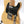 Load image into Gallery viewer, Fender Telecaster Custom Shop Designed Baja 2007
