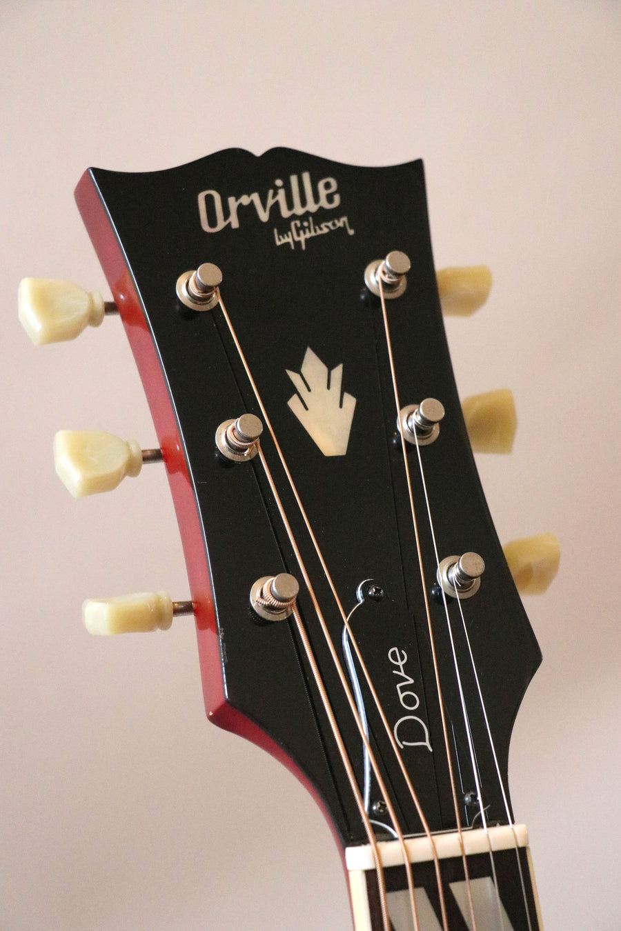 希少＊極上美品＞Orville by Gibson DOVE ・入手困難な希少な1本をこの 